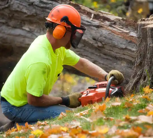 tree services Agawam